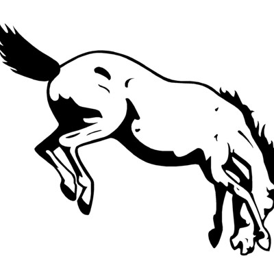 Bronco